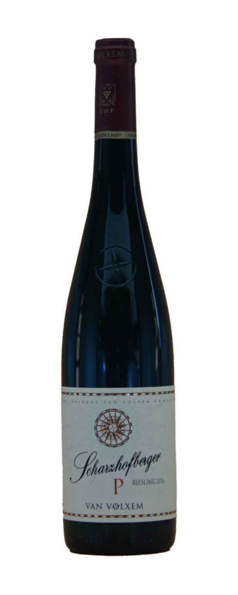 Van Volxem Scharzhofberger P Pergentsknopp Riesling Gg 2016