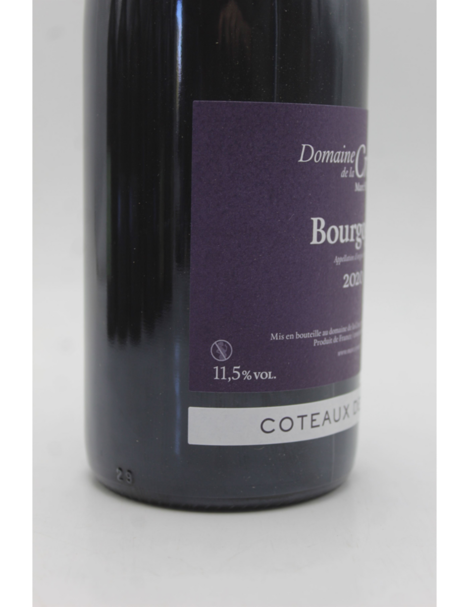 Marc Soyard Coteaux De Dijon Bourgogne Rouge 2020