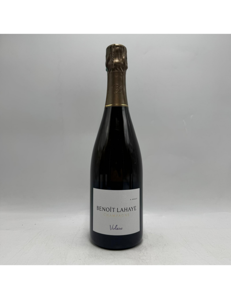 Benoit Lahaye Violaine Brut 2019