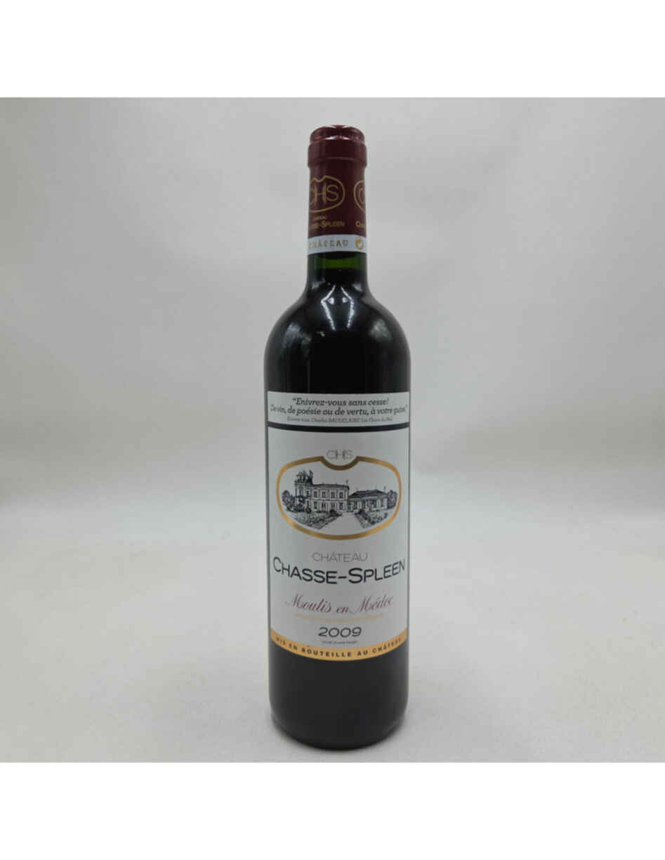 Chateau Chasse Spleen 2009