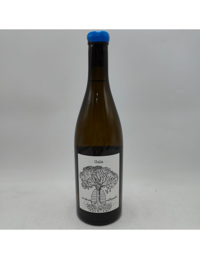 Jerome Bretaudeau Gaia Muscadet Sevre Et Maine, 2020