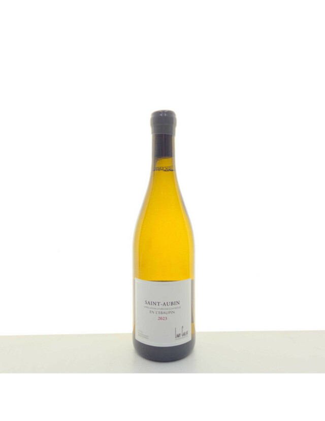 Lamy Caillat Saint Aubin En L` Ebaupin, 2023