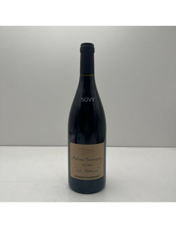 Antoine Sanzay Saumur Champigny La Paterne, 2023