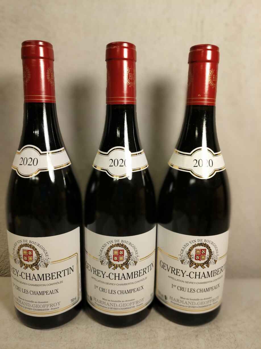 Harmand Geoffroy Gevrey Chambertin Les Champeaux 1er Cru 2020