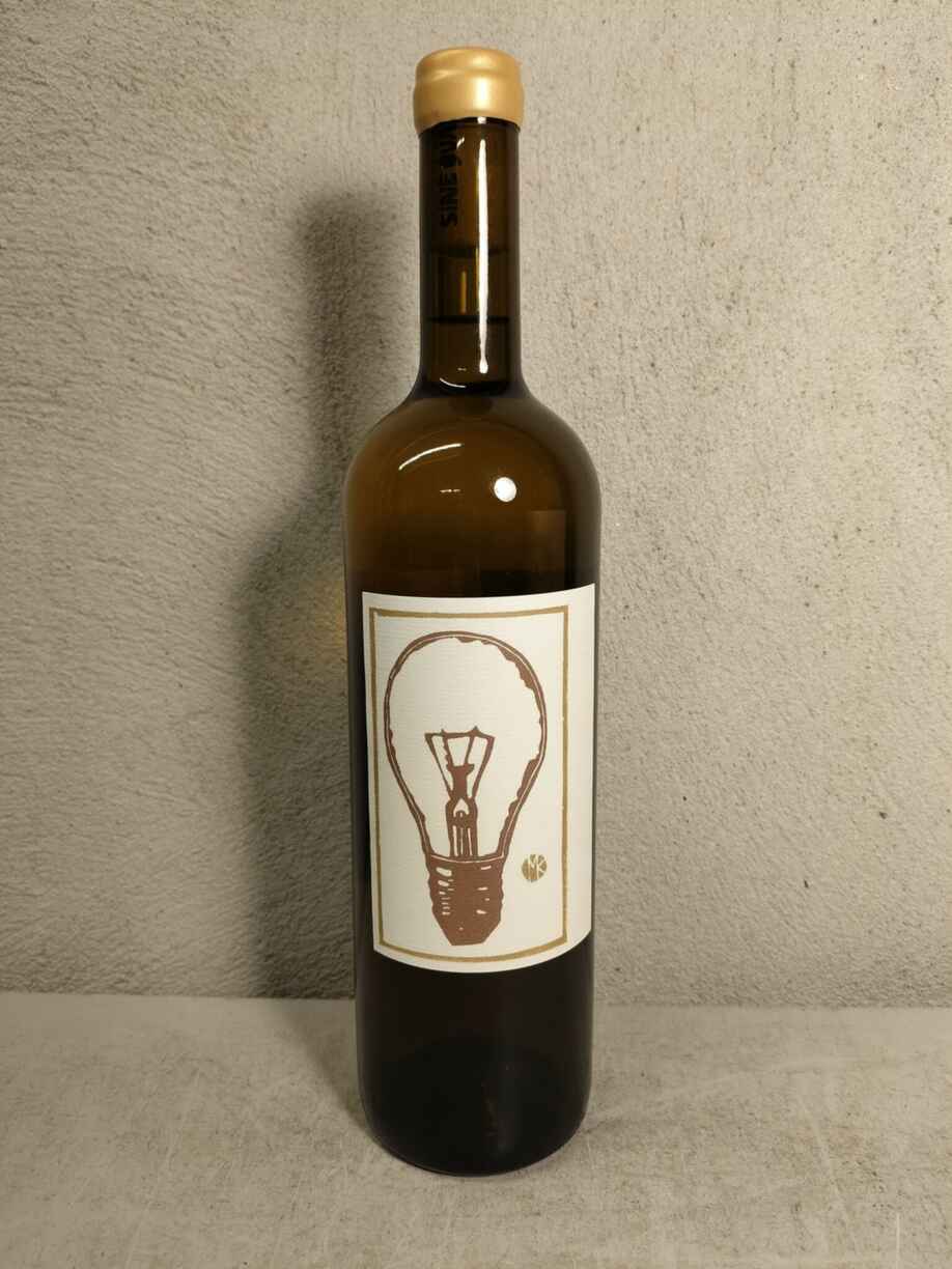 Sine Qua Non Distenta Iv White 2022