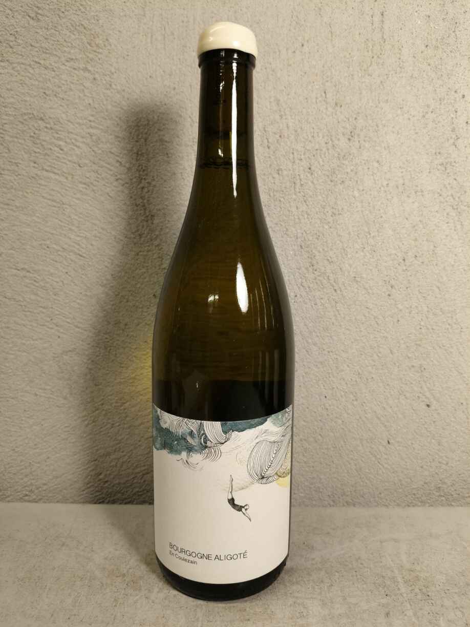 Les Horees Bourgogne Aligote En Coulezain 2023