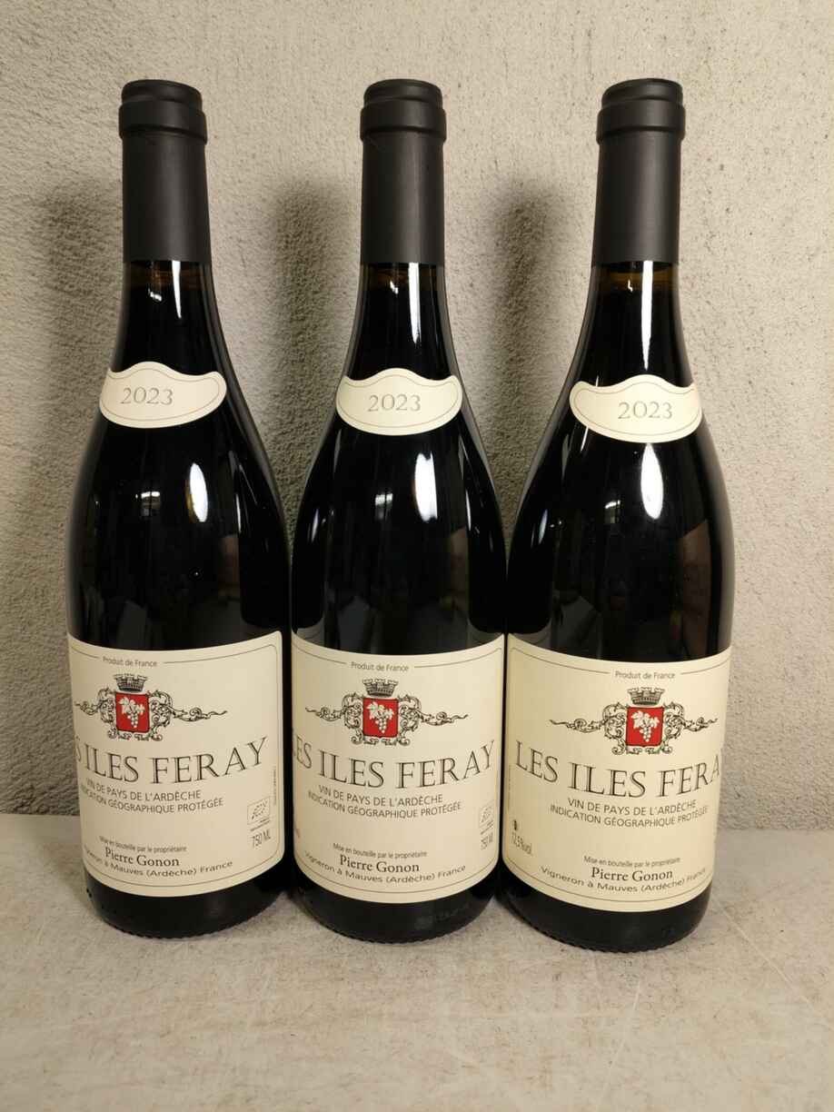 Pierre Gonon Les Iley Feray 2023