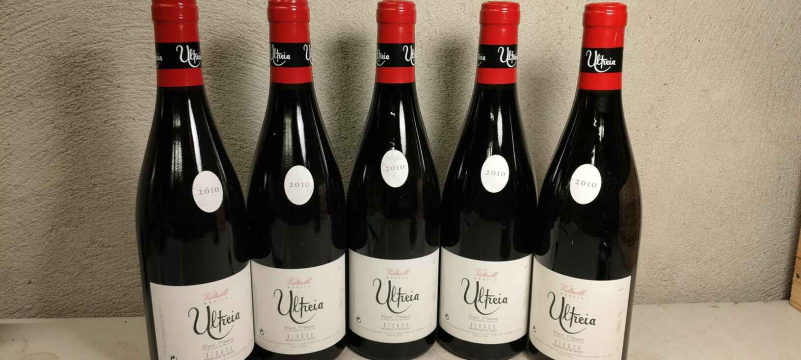 Raul Perez Ultreia Valtuille 2010