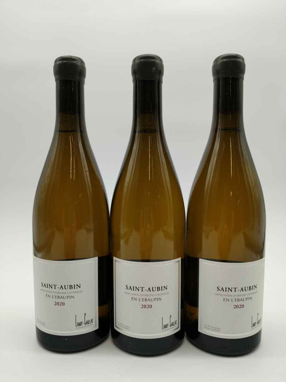 Lamy Caillat Saint Aubin En L` Ebaupin 2020