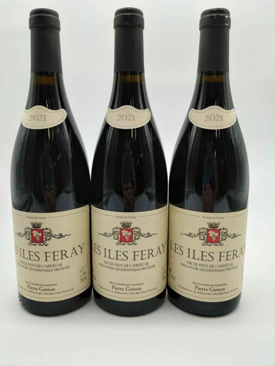 Pierre Gonon Les Iley Feray 2021