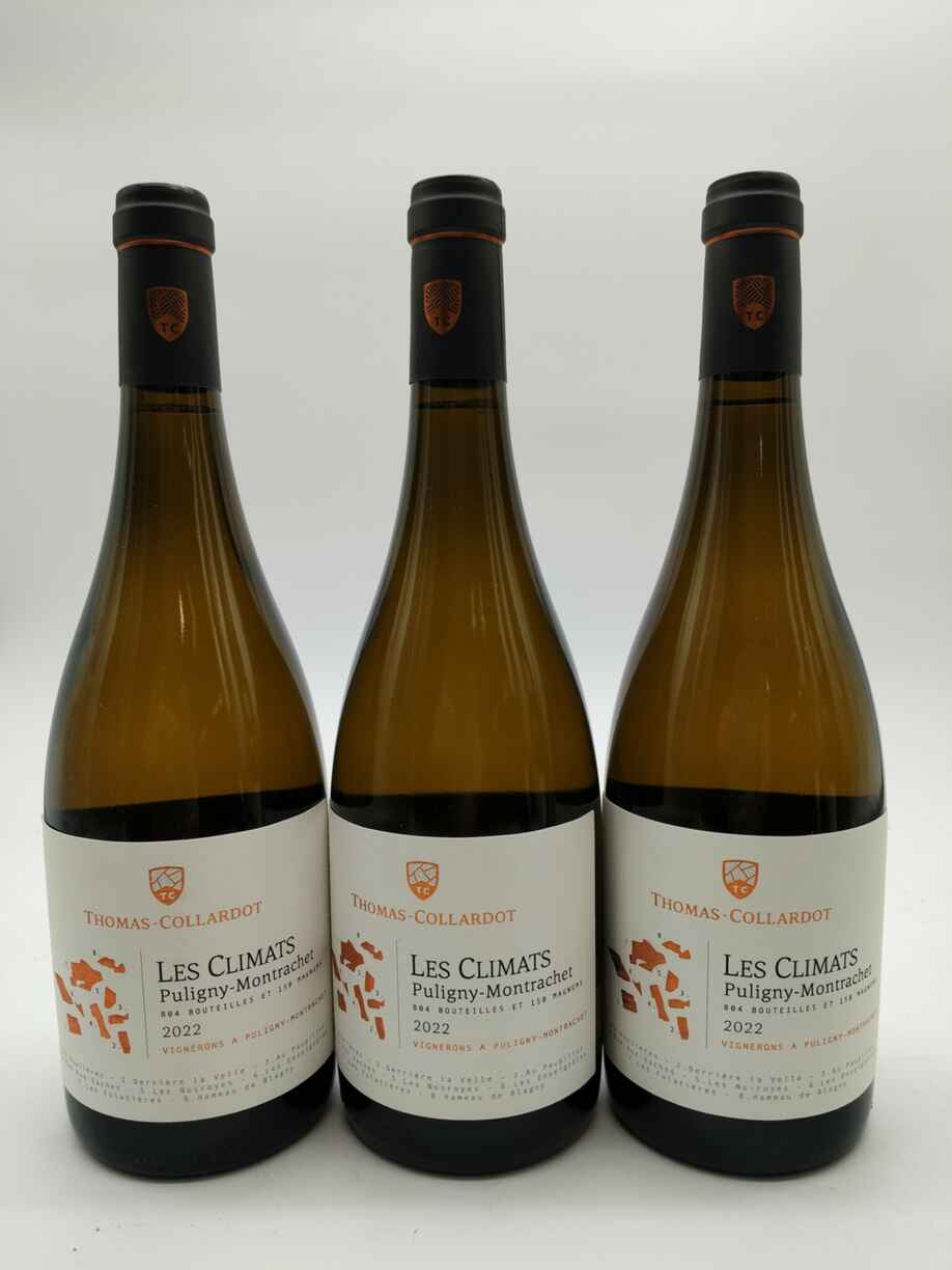 Thomas Collardot Pulginy Montrachet Les Climats, 2022