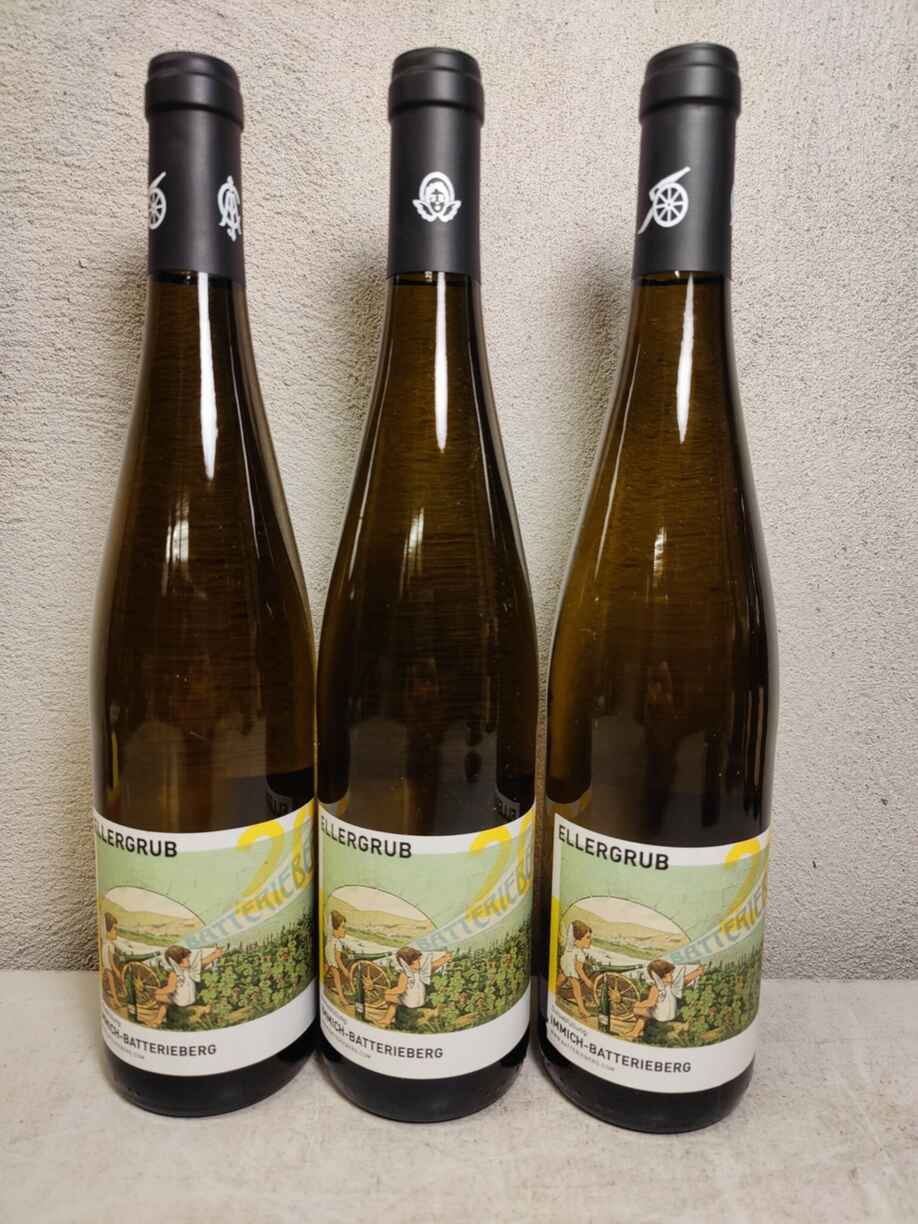 Immich Batterieberg Ellengrub Riesling, 2019