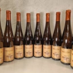 Keller Westhofener Morstein Riesling Gg, 2014
