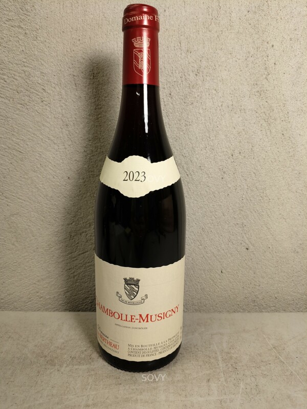 Bertheau Chambolle Musigny, 2023