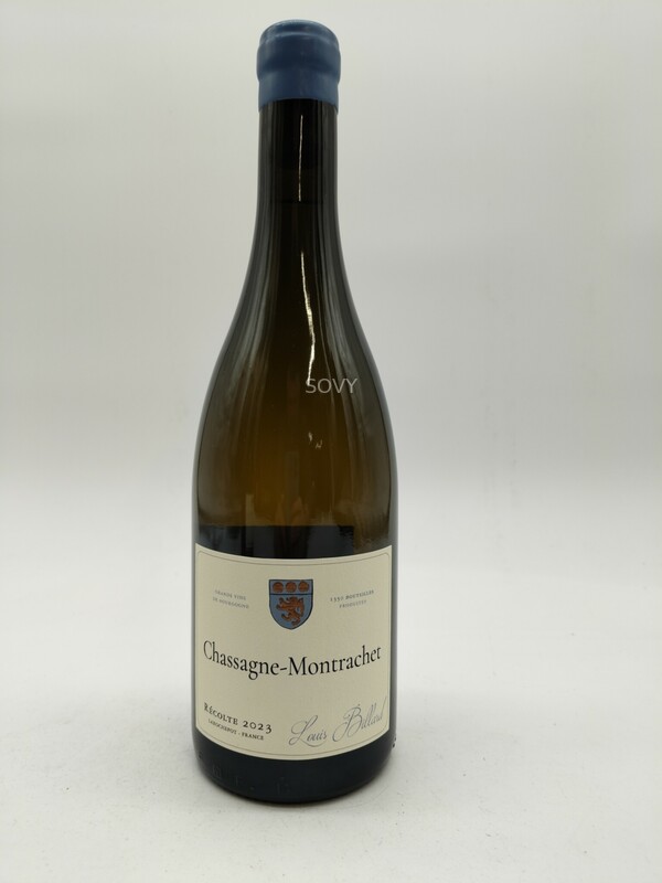 Billard Chassagne Montrachet, 2023
