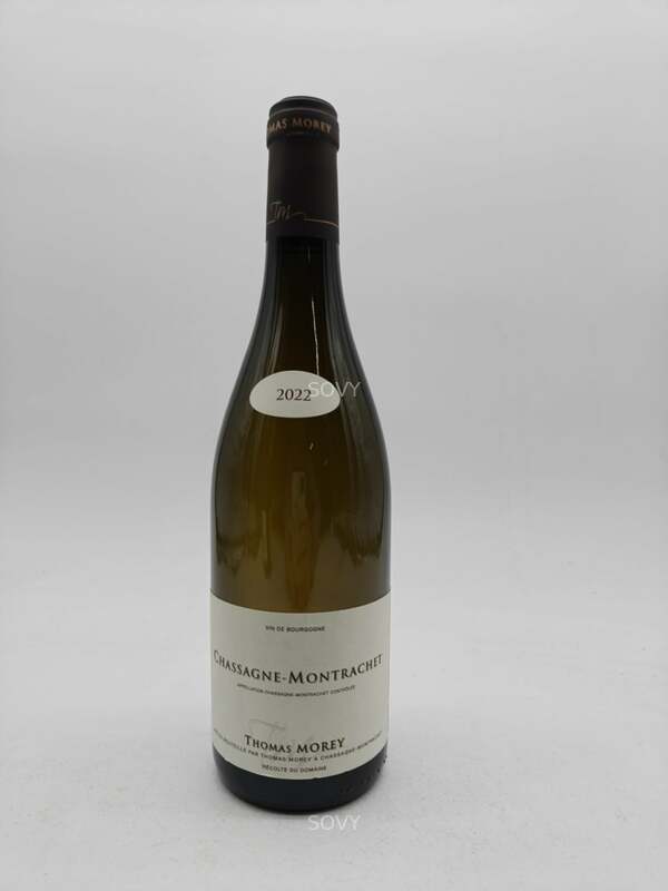 Thomas Morey Chassagne Montrachet, 2022