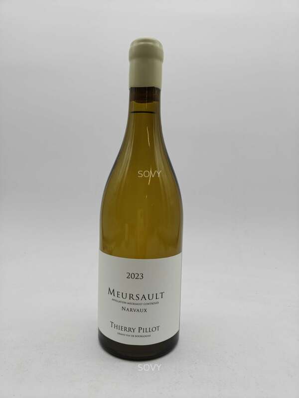 Thierry Pillot Meursault Narvaux, 2023