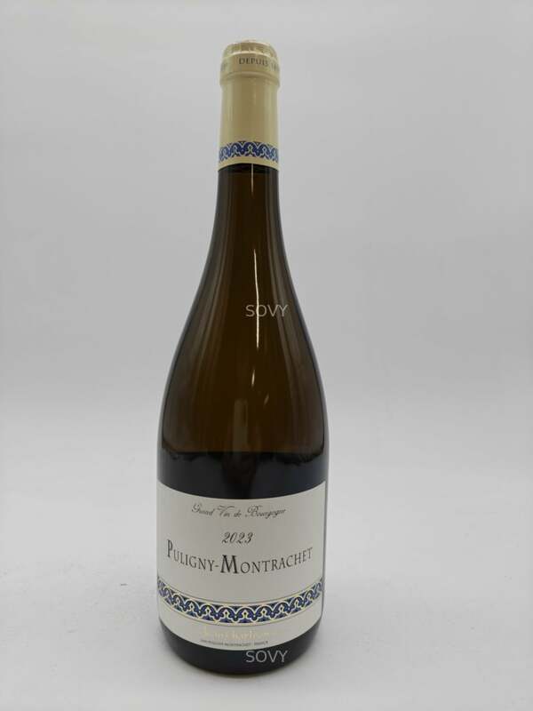 Jean Chartron Puligny Montrachet, 2023