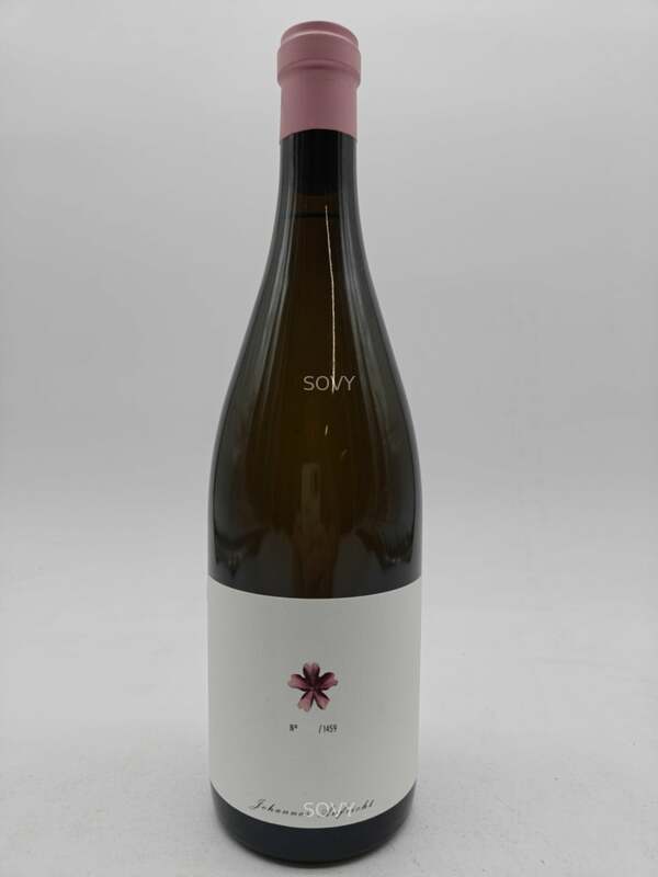 Weingut Aufricht Van Hauen Chardonnay, 2024