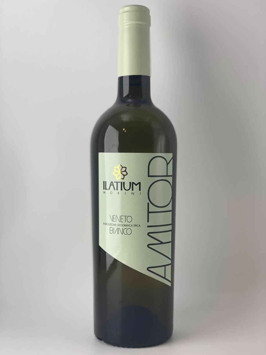 Latium Amitor Bianco Delle Venezie IGT 2023