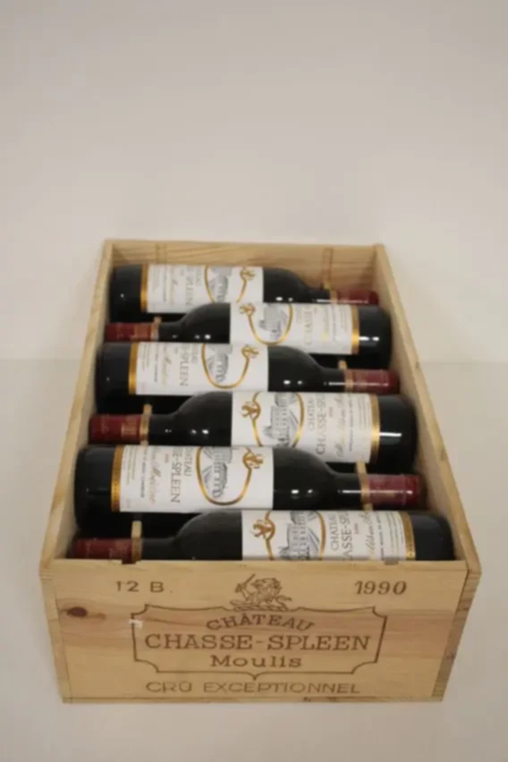 Chateau Chasse Spleen, 1990