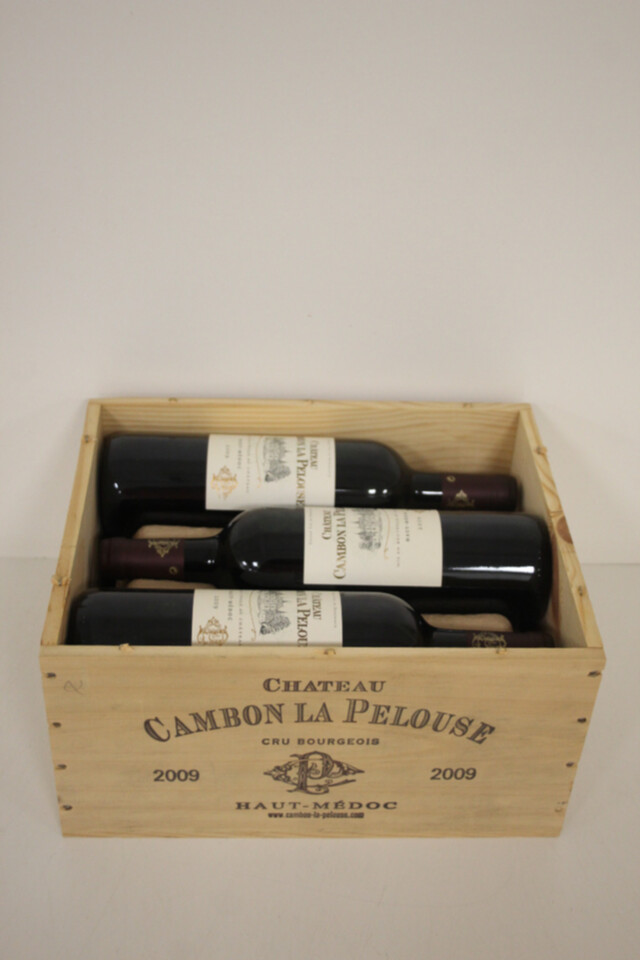 Chateau Cambon La Pelouse, 2009
