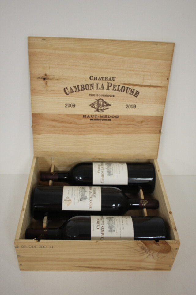 Chateau Cambon La Pelouse, 2009