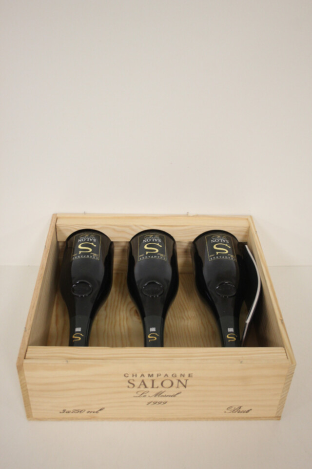 Salon Le Mesnil, 1999