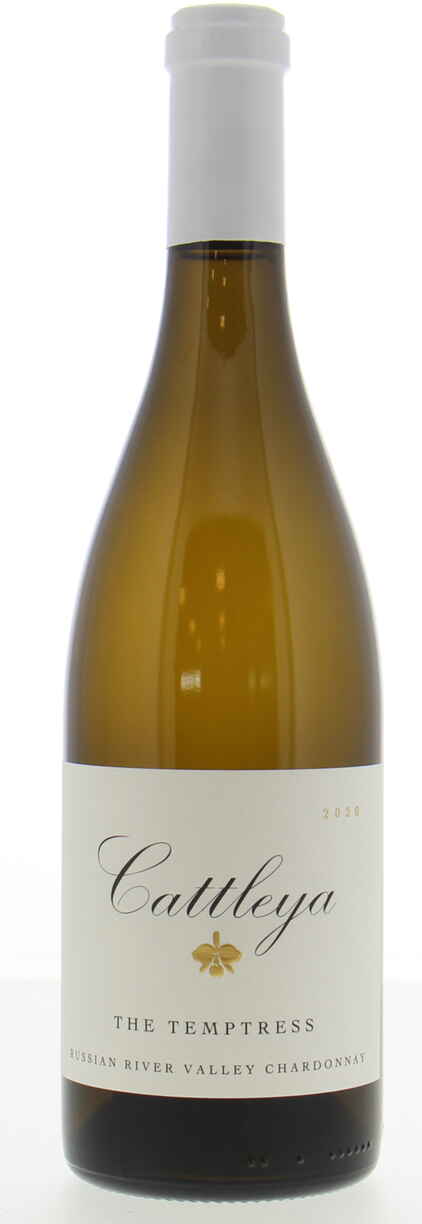 Cattleya Chardonnay The Temptress 2021