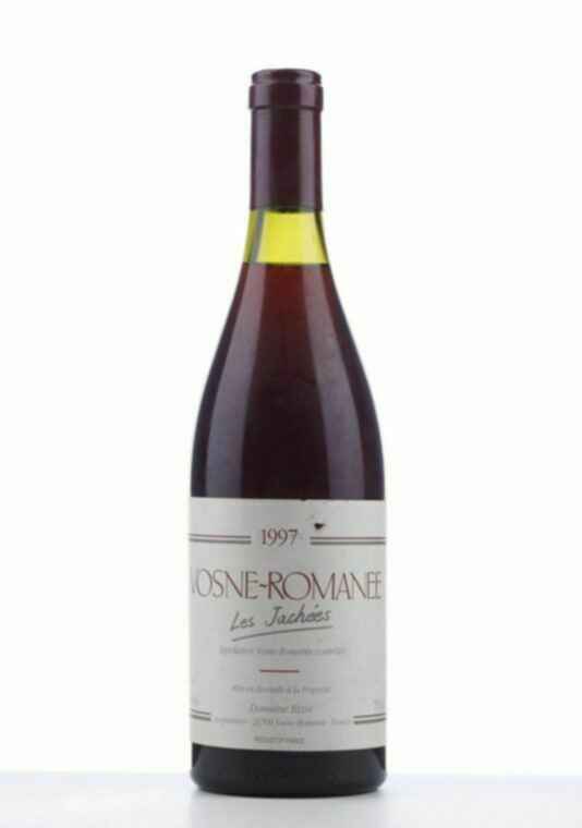 Jean-yves Bizot Vosne Romanée Les Jachees, 1997