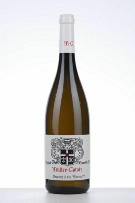 Muller Catoir Riesling Burgergarten Im Breumel Trocken Gg, 2010