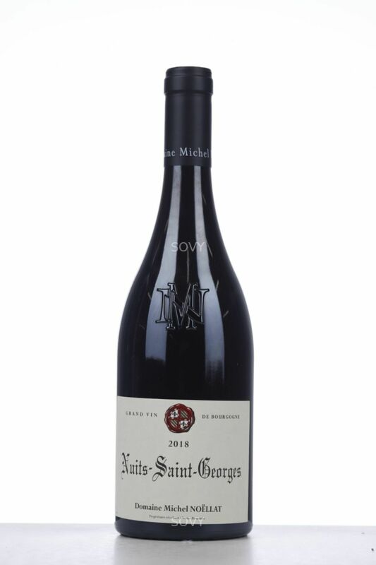 Michel Noellat Nuits Saint Georges, 2018