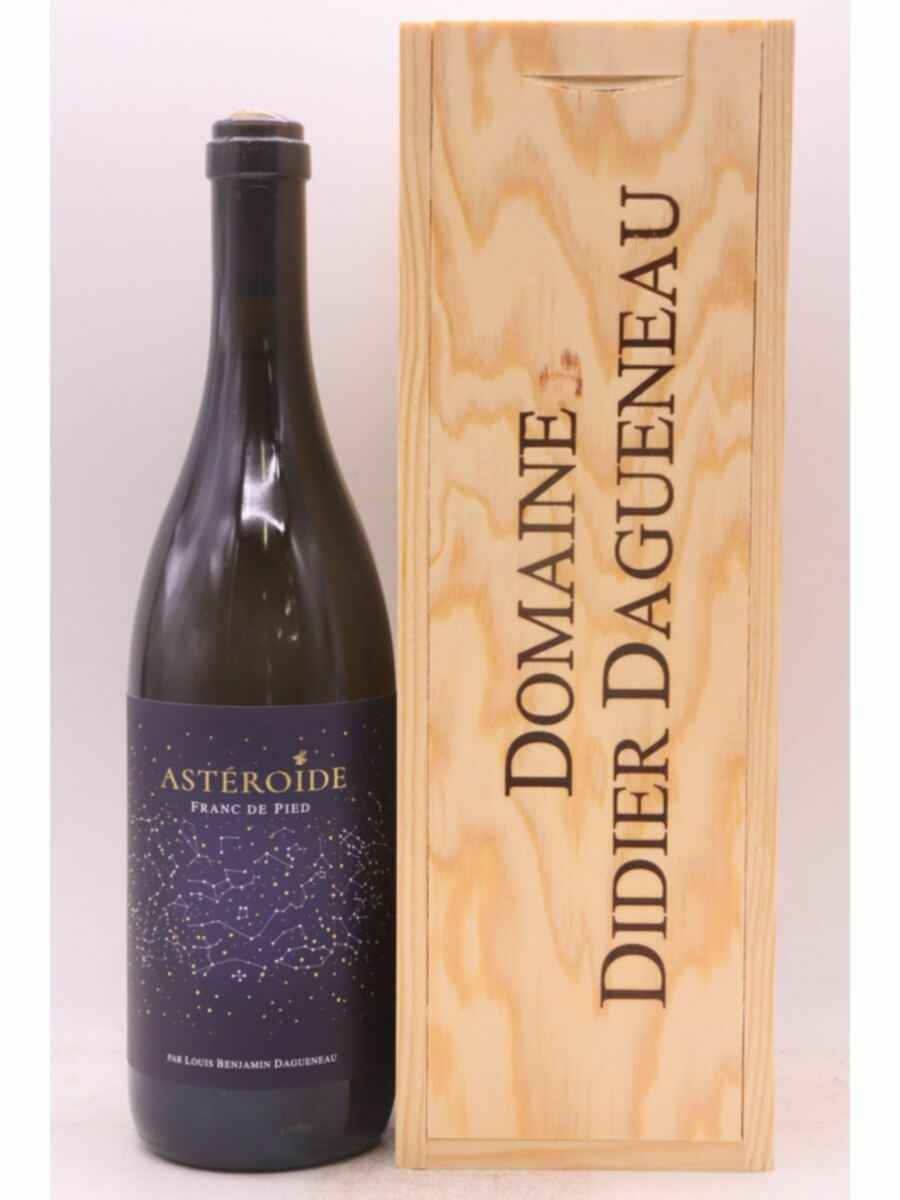 Didier Dagueneau Asteroide 2022
