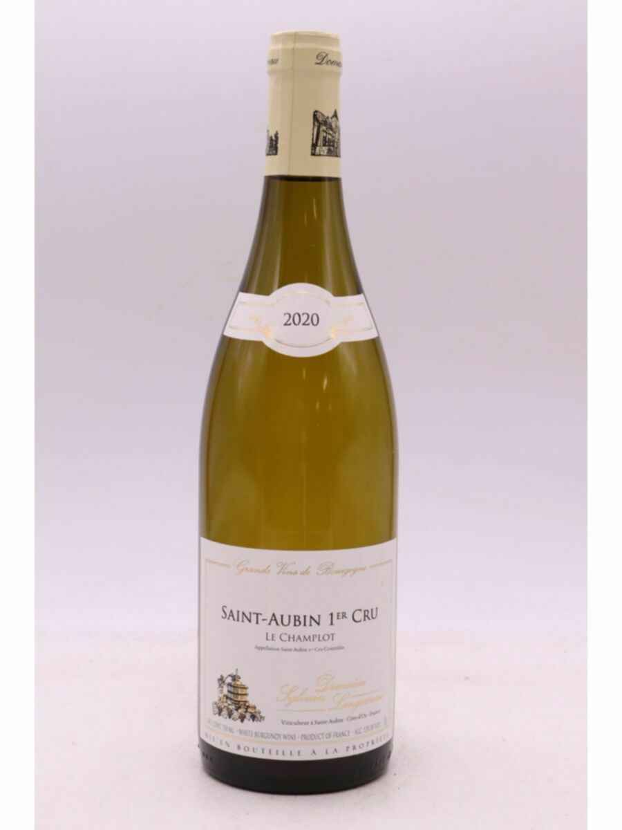 Sylvain Langoureau Saint Aubin Le Champlot 2020