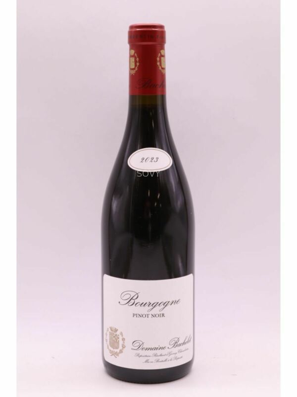 Denis Bachelet Bourgogne, 2023