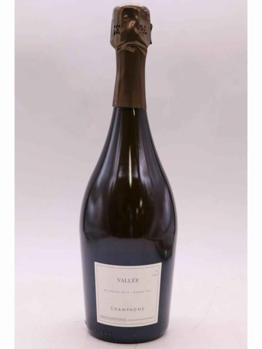 Les Monts Fournois Champagne Grand Cru Vallee, 2014