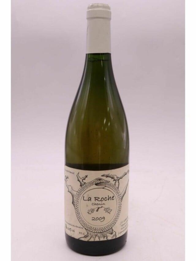 Jean Christophe Garnier La Roche, 2009