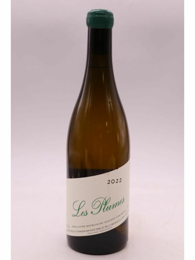 Rougeot Bourgogne Aligote Les Plumes, 2022
