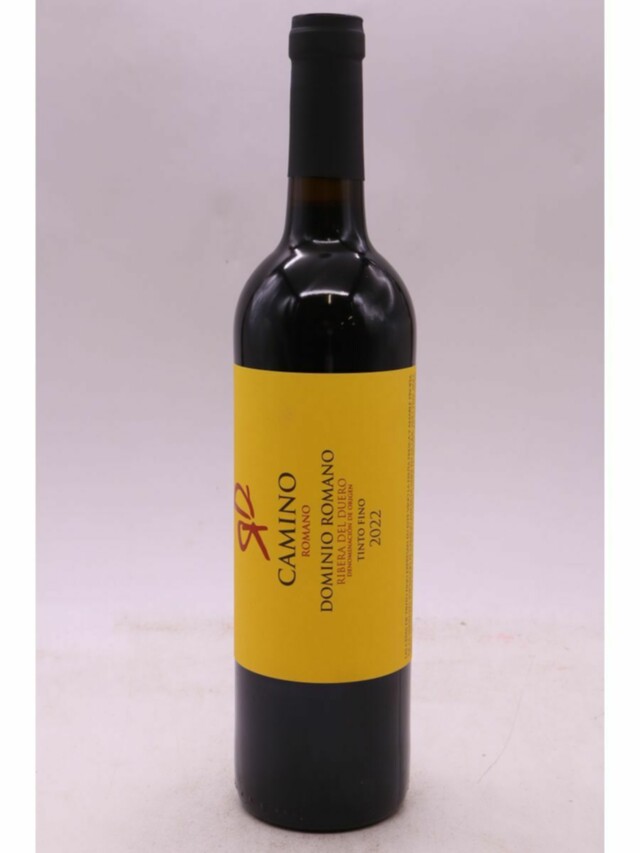 Camino Romano Ribera Del Duero, 2022