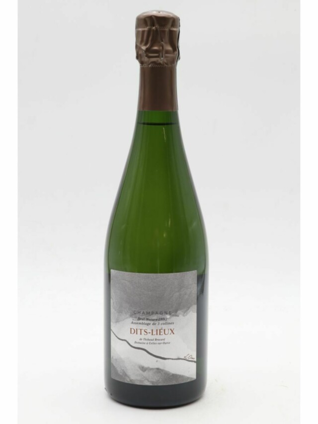 Pierre Brocard Dits Lieux Brut Nature