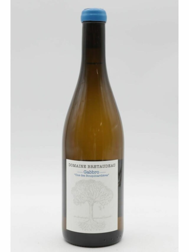 Jerome Bretaudeau Muscadet Gabbro Clos Des Bouquinardieres, 2024