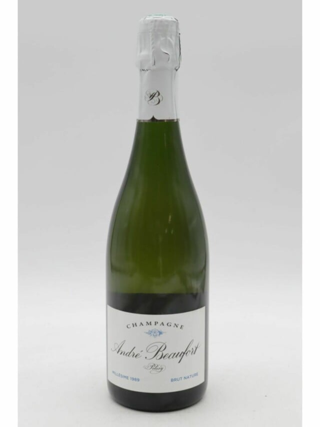 Andre Beaufort Polisy Brut, 1989