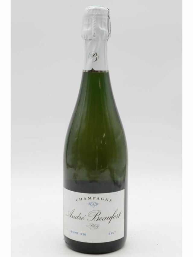 Andre Beaufort Polisy Brut, 1996