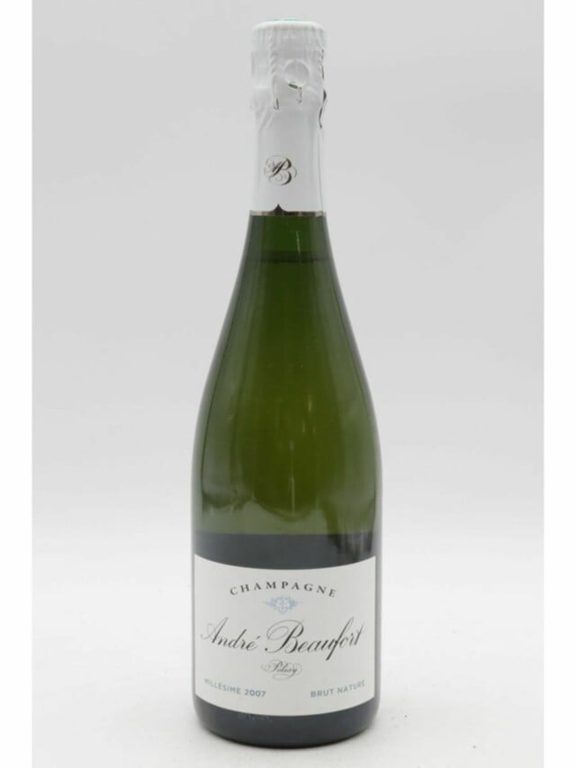 Andre Beaufort Polisy Brut, 2007