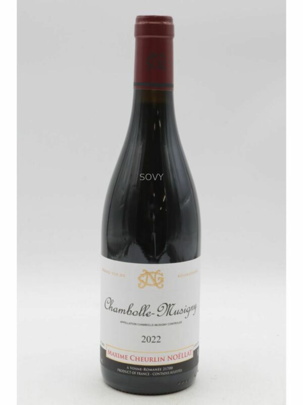 Maxime Cheurlin Noellat Chambolle Musigny, 2022