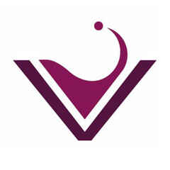 Vintage Investments logo