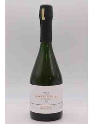 Roger Coulon Continuum 1er Cru Brut Nature N.V.